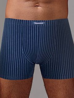 Боксеры на тонкой резинке в полоску Gentlemen DTТм7200 Синий